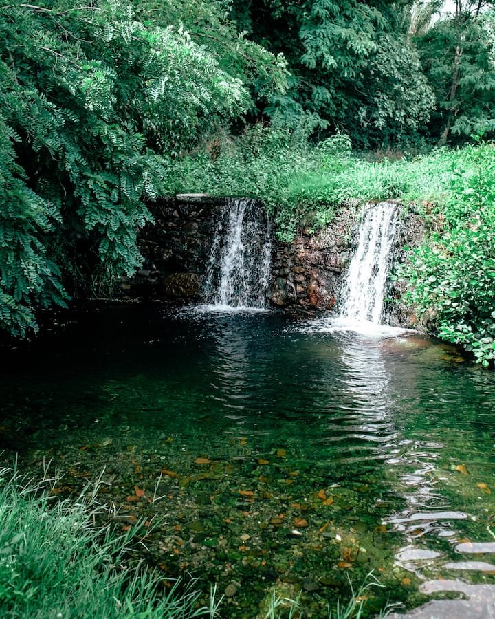 Jardim Social — Quarto Compartilhado