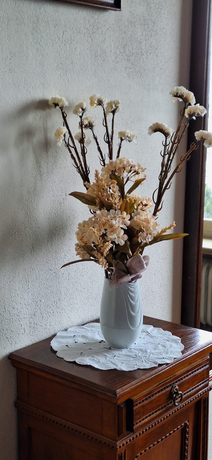 Mondovì Piazza Inviavico, 45