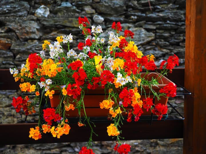 The Room of the Camino