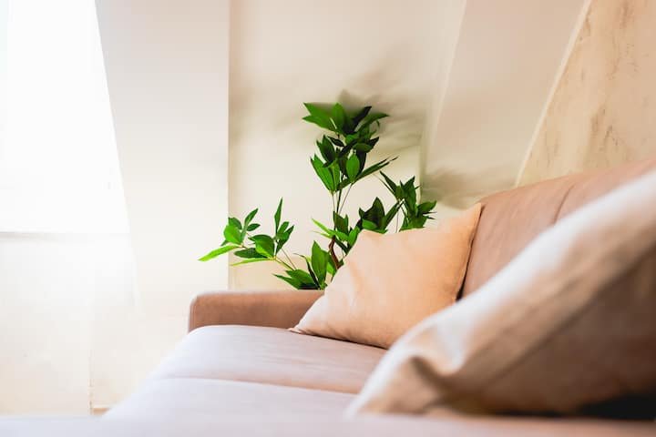 Piazza Vittorio Suíte Central