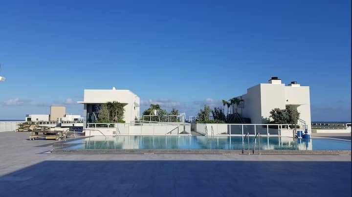 Vistas deslumbrantes da costa perto de Hollywood Beach