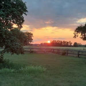 Acampamento de luxo The Red Wagon