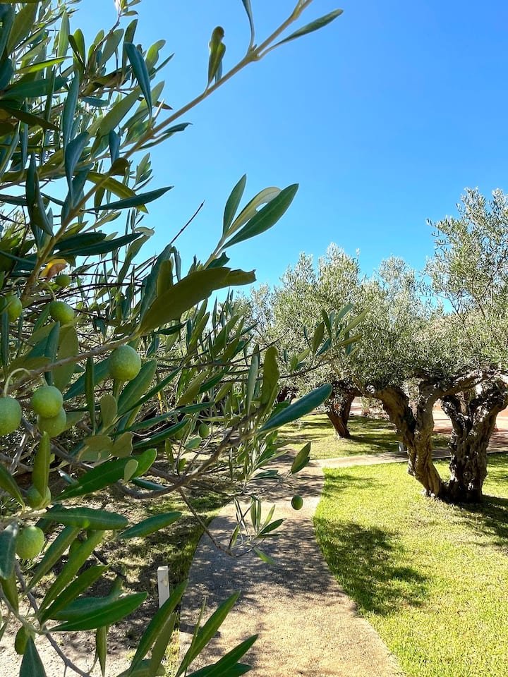 Casa de férias com vista deslumbrante para o mar