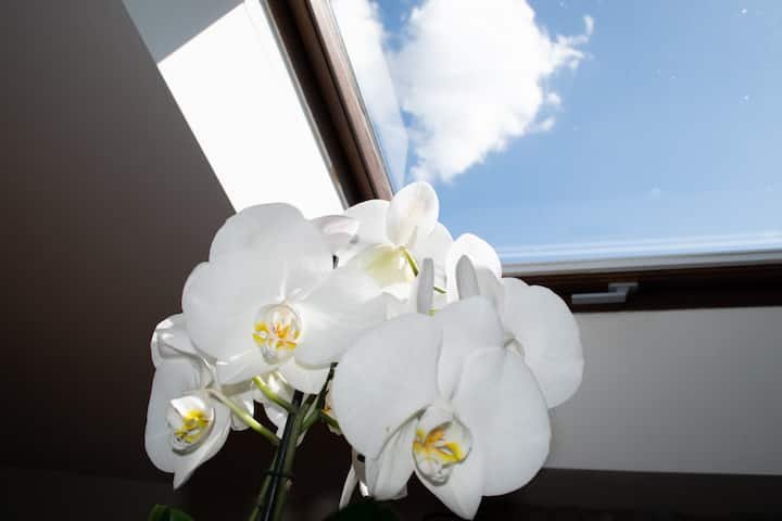 Apartamento bonito em Montepulciano, estacionamento privativo