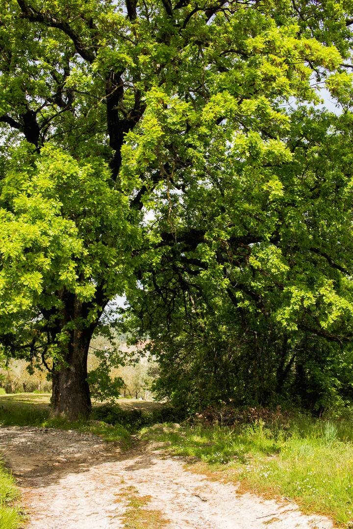 Apartamento com jardim e piscina – Il Pietrone