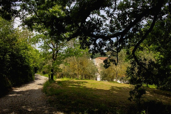 Apartamento com jardim e piscina – Il Pietrone