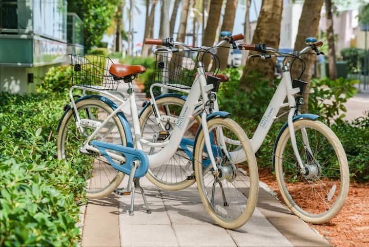 Vistas deslumbrantes da costa perto de Hollywood Beach