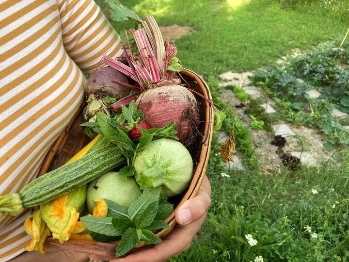 Apartamento com jardim e piscina – Il Pietrone