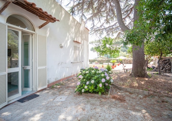 Ischia B&B “VILLA ANTICA” Quarto Esmeralda