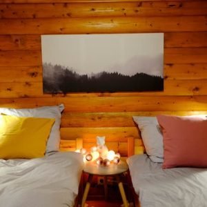 Woody Willingen – A cabana de madeira em meio a uma natureza maravilhosa