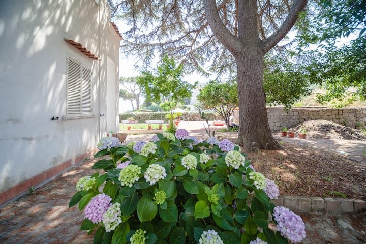 Ischia B&B “VILLA ANTICA” Quarto Esmeralda