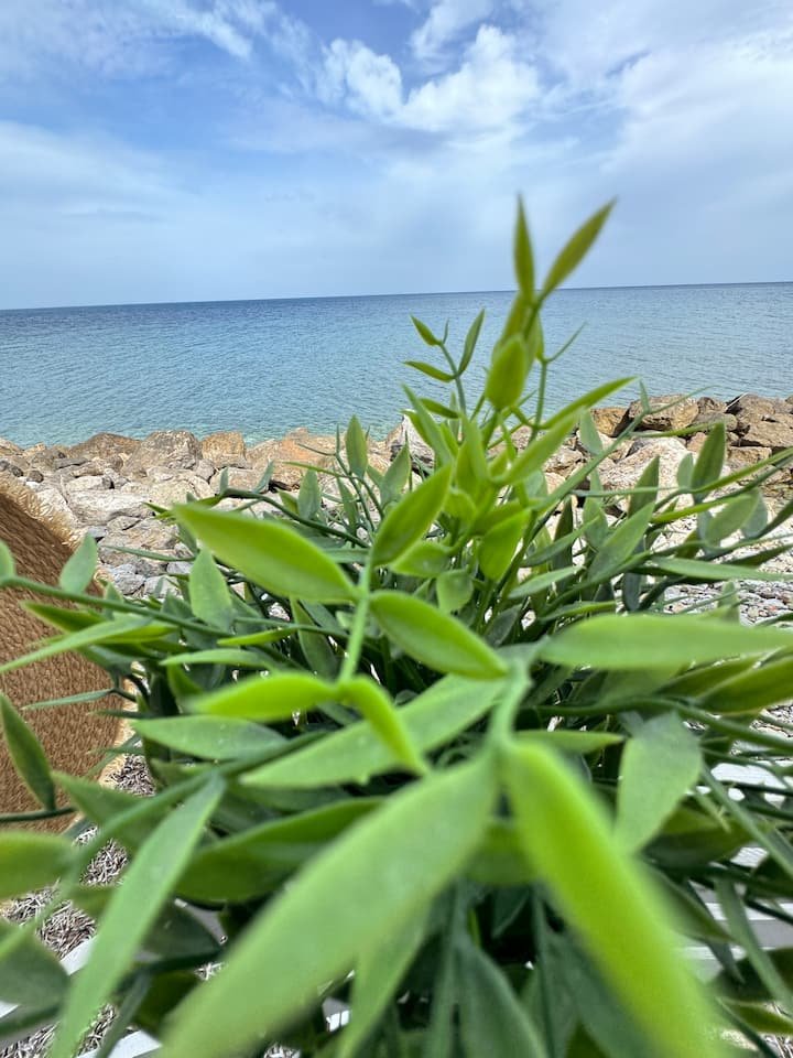 Loft à beira-mar, com acesso privativo à praia