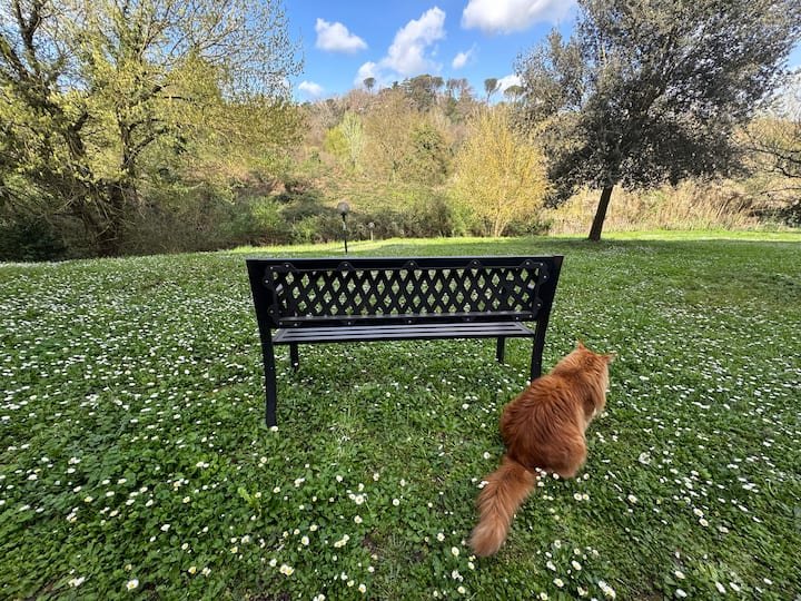 [Gemelli-Vatikan] Apartamento Zen Wi FI