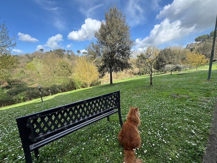 [Gemelli-Vatikan] Apartamento Zen Wi FI