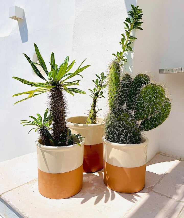 That’s Amore – Casa com design diferenciado e terraço privativo