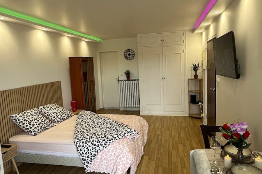 Torne-se um anfitrião    Estúdio aconchegante no centro