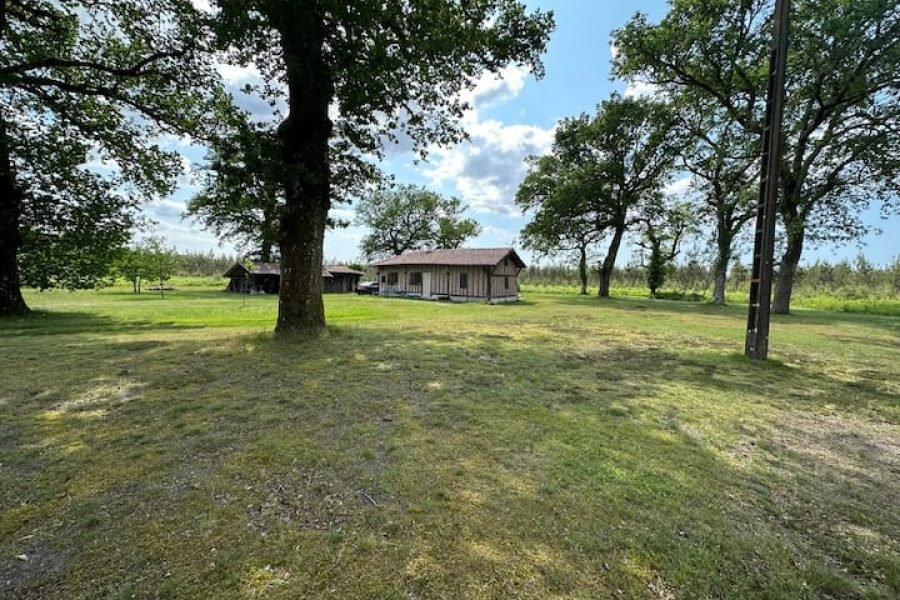 Orla da floresta e perto do oceano