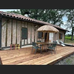 Orla da floresta e perto do oceano