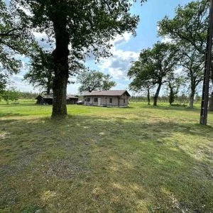 Orla da floresta e perto do oceano