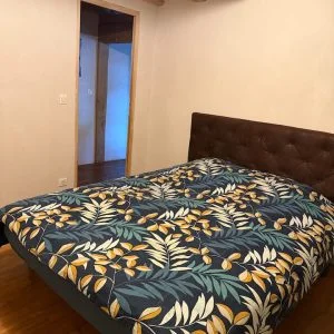 Orla da floresta e perto do oceano