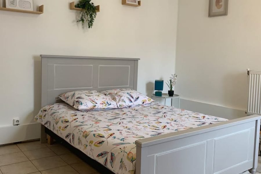 Estúdio Carcassonne no centro