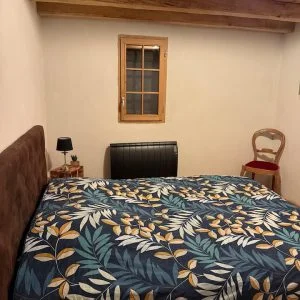 Orla da floresta e perto do oceano