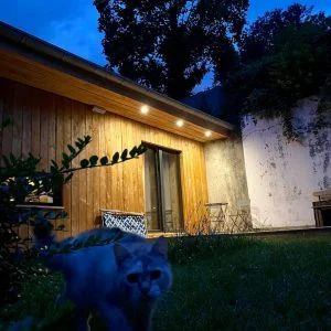 Minha microcasa elegante e ecológica