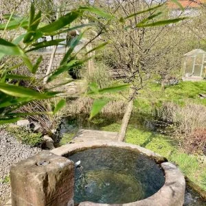 Telhado aconchegante – com terraço