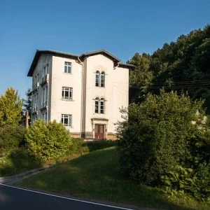 Apartamento iluminado com vista para a floresta