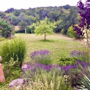 Tão verde no meio de Berlim! Para o S-Bahn e metrô 7 min!