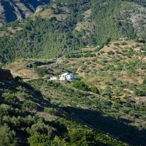 Retiro na montanha Casa Alzaytun.