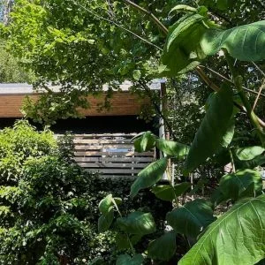 Waldhaus Bornmühle / Região dos Lagos de Mecklemburgo