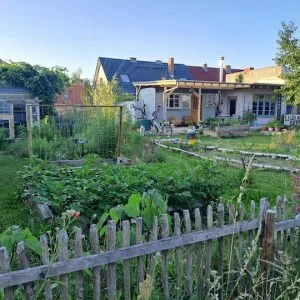 Tinyhouse am Berliner Stadtrand