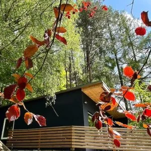 Waldhaus Bornmühle / Região dos Lagos de Mecklemburgo