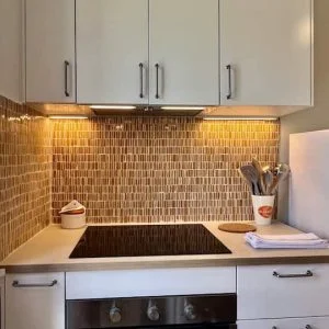 O Campo na Vila N°1