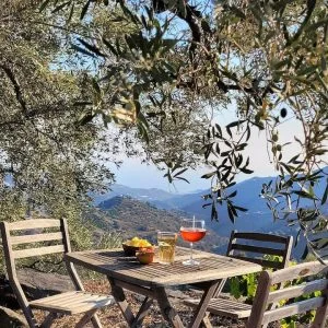 O estúdio na Finca la Vida com vista para o mar