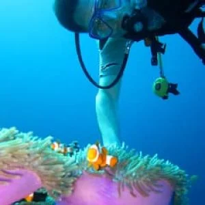 Casa de hóspedes da família Waldkauz no meio da floresta