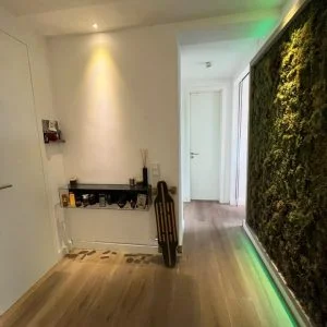 Terraço e jacuzzi no centro da cidade (86 m²)