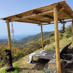 O estúdio na Finca la Vida com vista para o mar