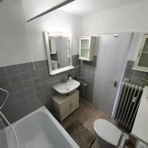 Liberdade de caminho II – Despertando na natureza