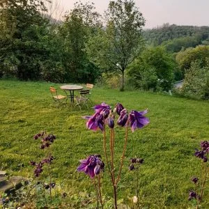 Cabana na floresta à beira do lago – Glamping