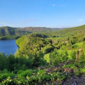 Liberdade de caminho II – Despertando na natureza
