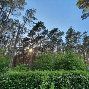 Bungalow na floresta para 2-3 pessoas/lareira sauna Wi-Fi