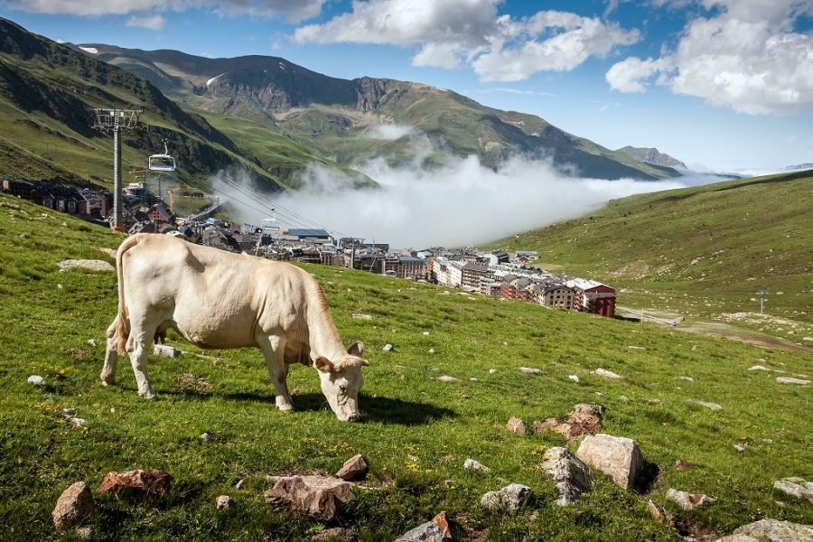 Três Países num só Dia: Tour em Espanha, França e Andorra