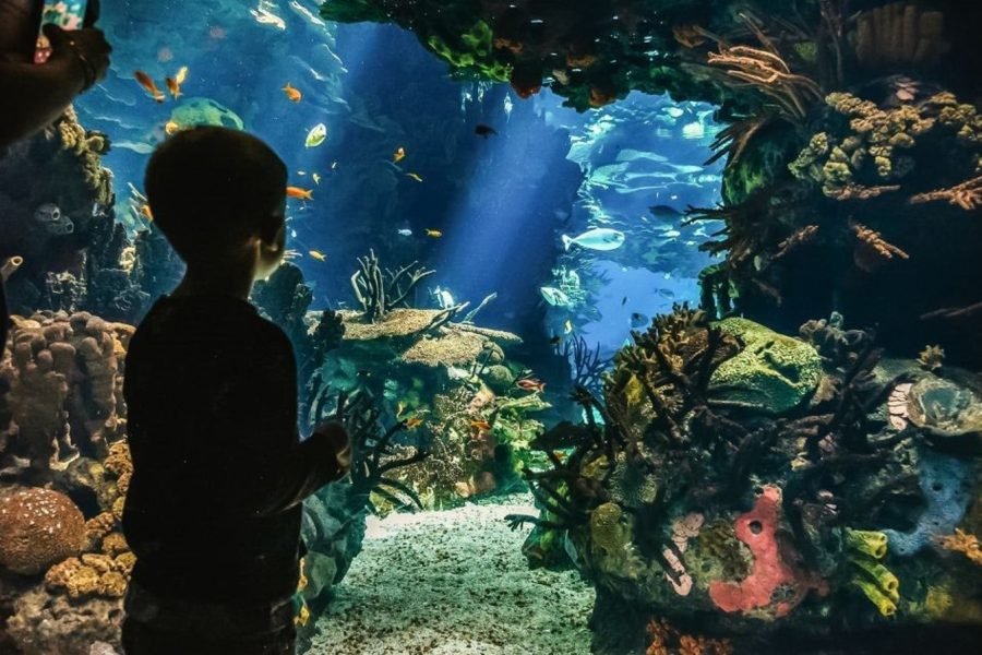 Largada no Hotel Refeições e Bebidas Despesas Pessoais Gratificações