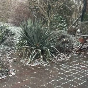 Tão verde no meio de Berlim! Para o S-Bahn e metrô 7 min!