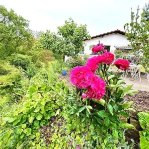 Hideaway&Spa — Villa St. Nikolaus