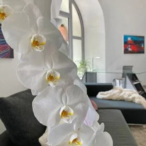 Residência exclusiva na torre histórica