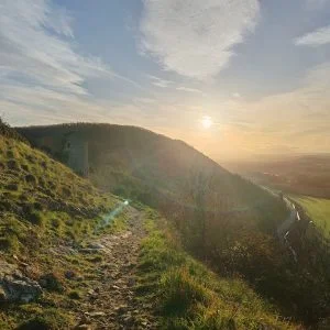 À sombra da árvore de tília.