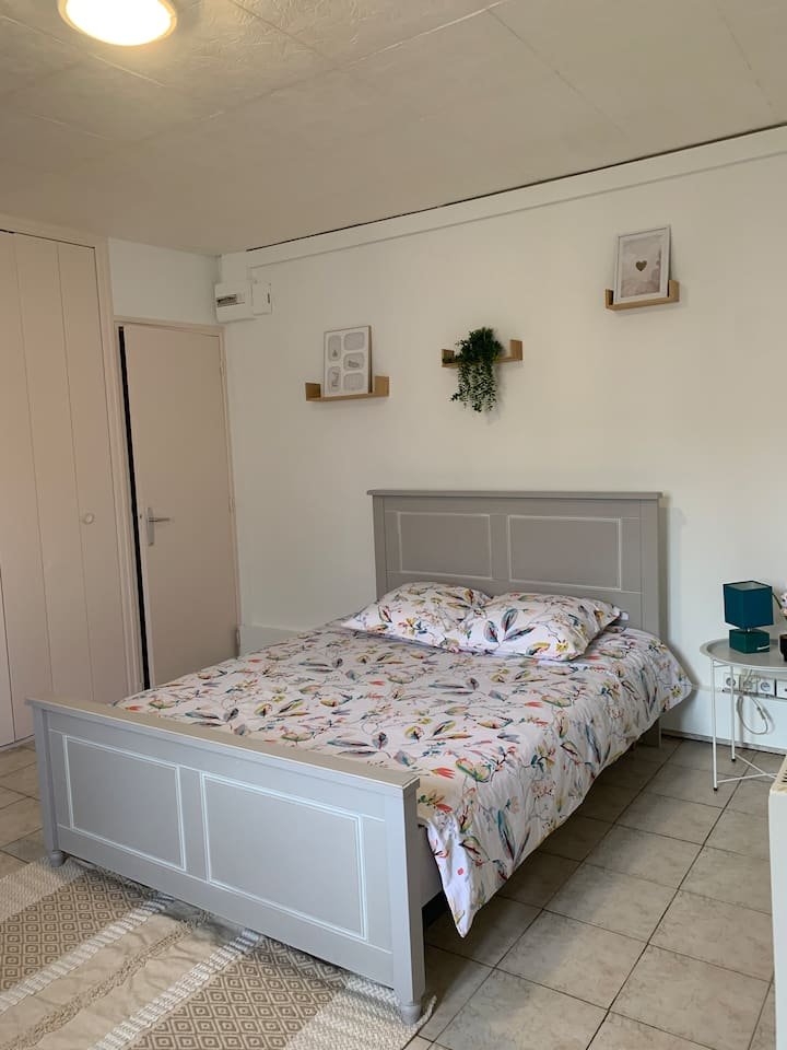 Estúdio Carcassonne no centro